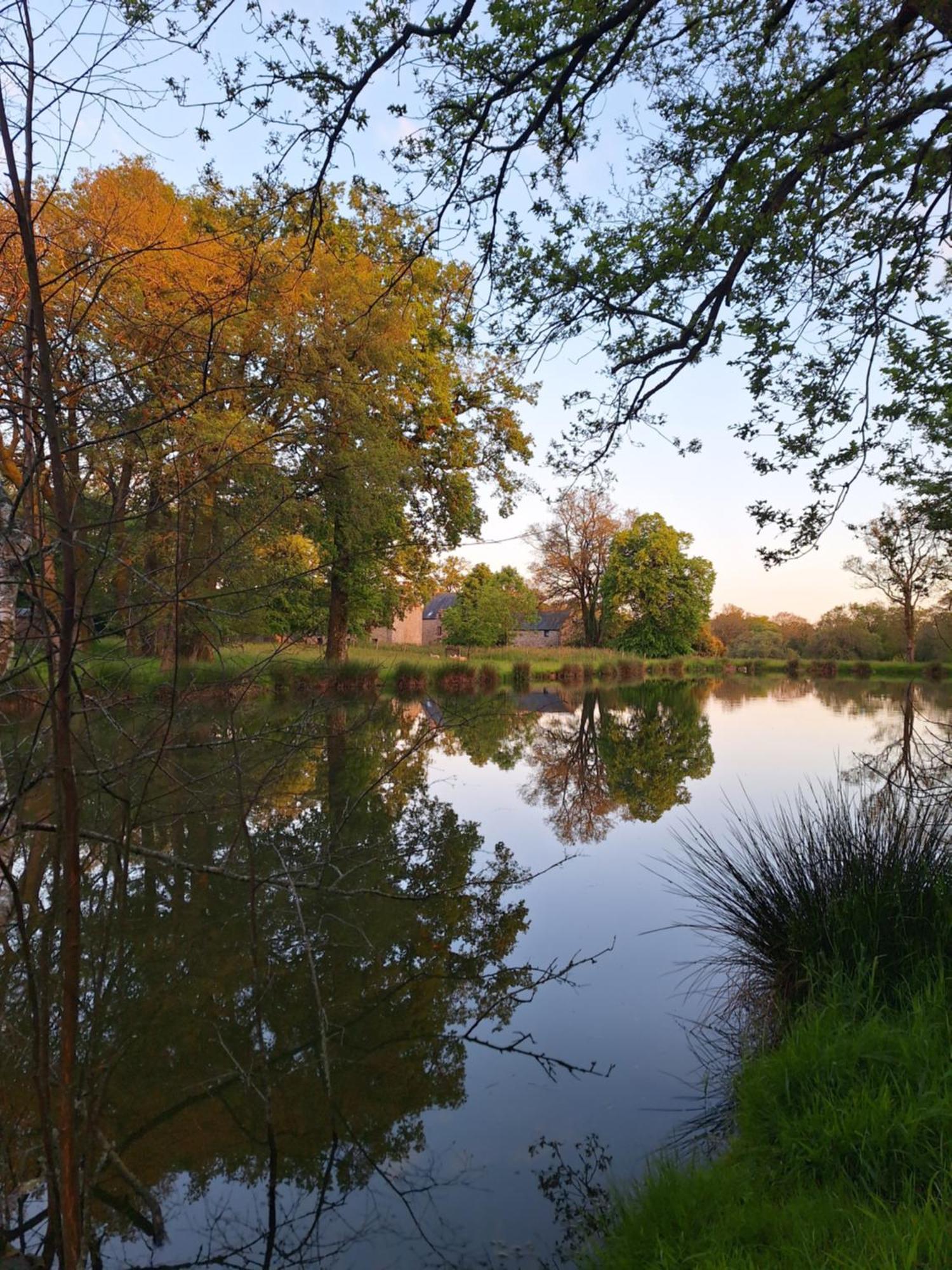 Domaine De Bobehec - Gite De Groupe, Chambres & Salle - 23 Personnes - Morbihan Proche Vannes Et Plages La Vraie-Croix 外观 照片